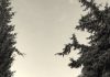 Γιώργος Σάββενας: Ο Άι Νικόλας: Σκέψεις για τη γειτονιά που καθημερινά με αγκαλιάζει