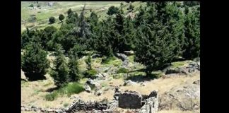 Η μάντρα του Θεόκριτου Κώστογλου στο Κοκκινόνερο | Ο Δημήτρης Βοναπάρτης ετοιμάζει ένα ξεχωριστό ντοκιμαντέρ (ΒΙΝΤΕΟ)