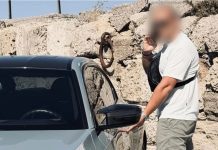 Ο οδηγός της BMW ήθελε να ξηλώσει τον εγκέφαλο του αυτοκινήτου μετά το τροχαίο στη Ρόδο που σκοτώθηκαν μητέρα και κόρη